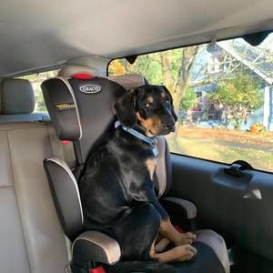 Meet your Posher, Kathy n ben